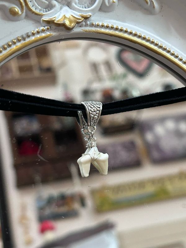 Coyote Tooth Choker