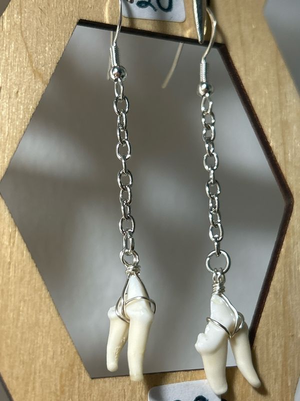 Coyote Tooth Dangles
