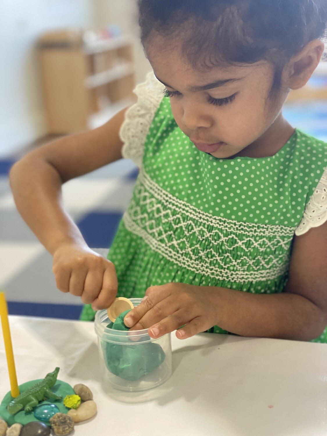 Wild Animal Exploration Sensory Kit