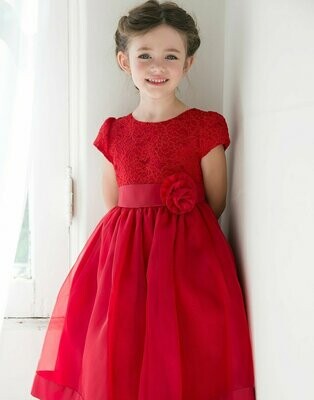 Attractive Lace and Mirror Organza - Red