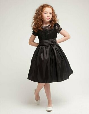 Lace and Glistening Taffeta Knee Length Dress - Black