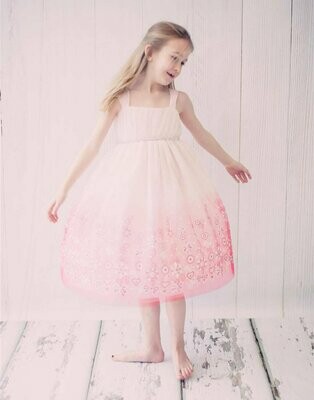 Ombre Glitter Princess Tulle Dress - Blush