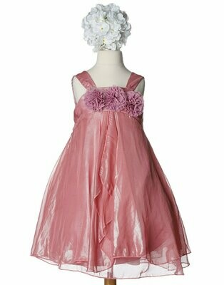 Shimmery Chiffon Dress - Dusty Rose