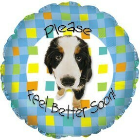 Please Feel Better Soon Dog Balloon 18"