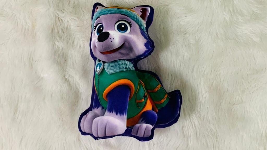 paw patrol
