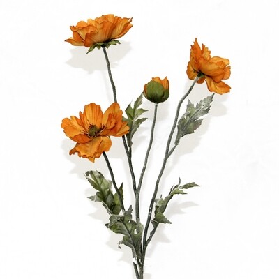 Fall Stems