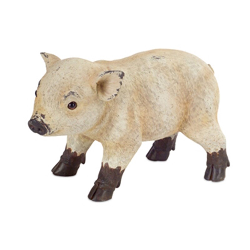 DF116 Pig