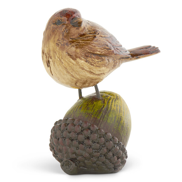 GC028 Wren perched on Acorn