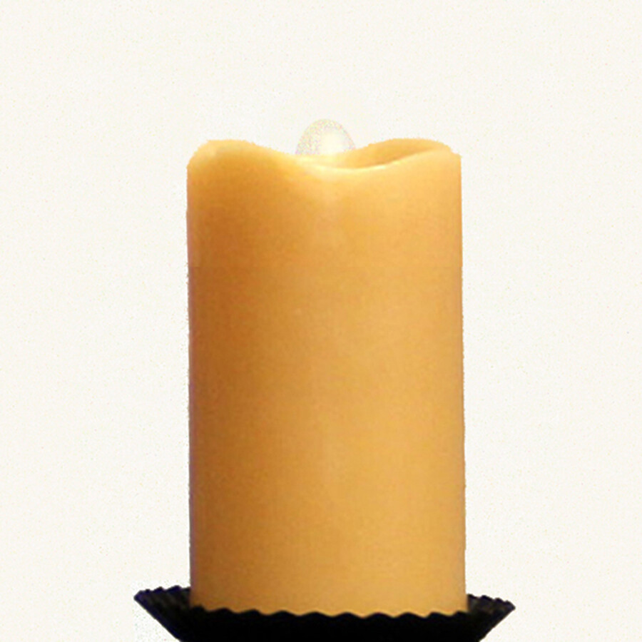 CA109 Buttsctch Tim Pill Sm