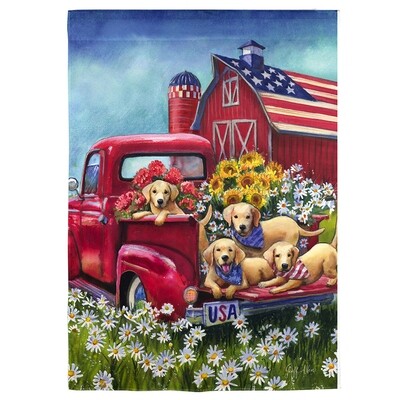 DO229G American Dogs Garden Flag