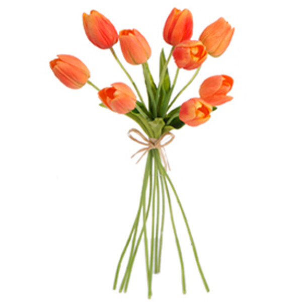 1B069 Tulip Bundle