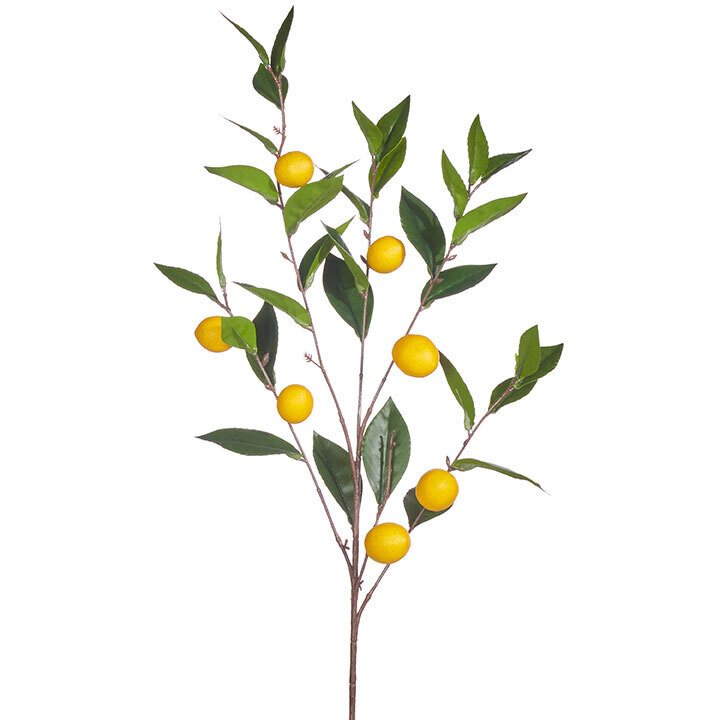 1B193 Lemon Spray