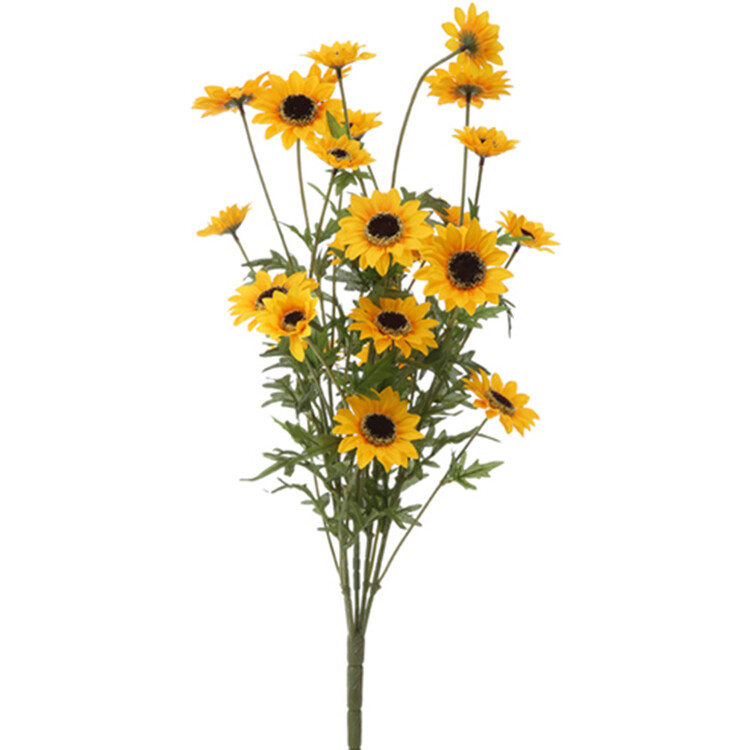 1B196 Black Eyed Susans