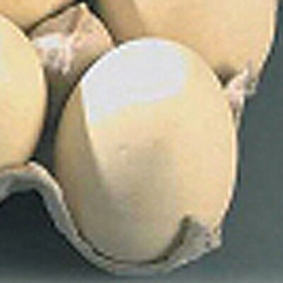 FL047 Brown/White Wooden Eggs