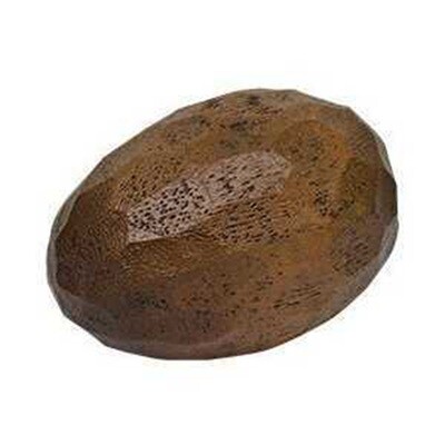 FL091 TreenEgg