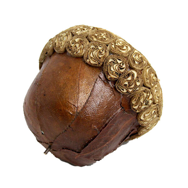 LG078 Lfy Acrn_Fruit