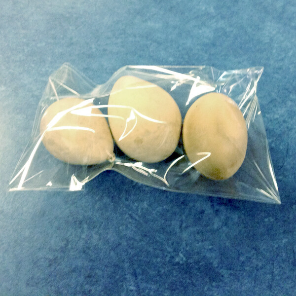 LG086 Brown Egg Gourds