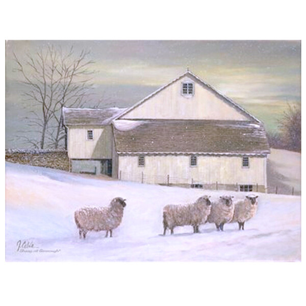 CV104M Sheep at Granough - Medium