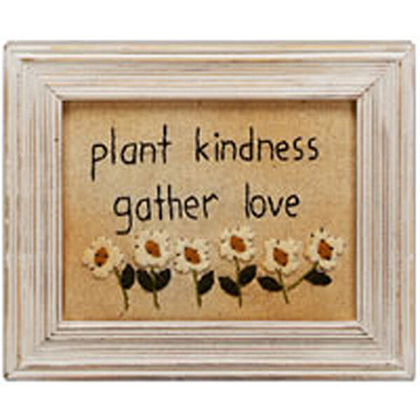 IF42 Plant Kindness