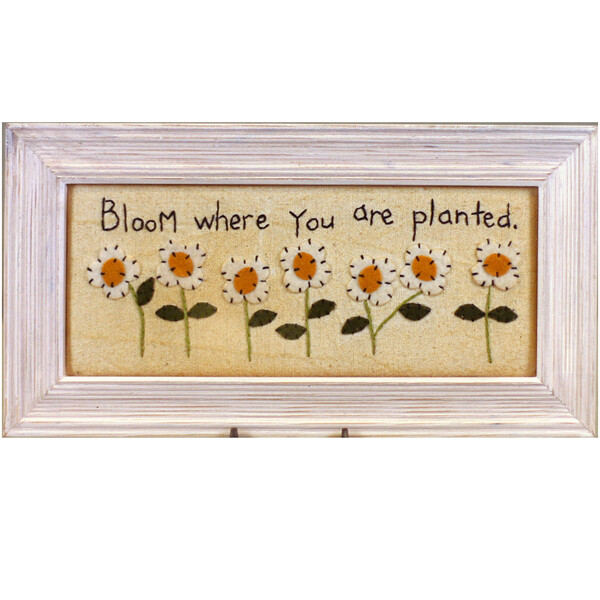 IF44 Bloom Where Plant