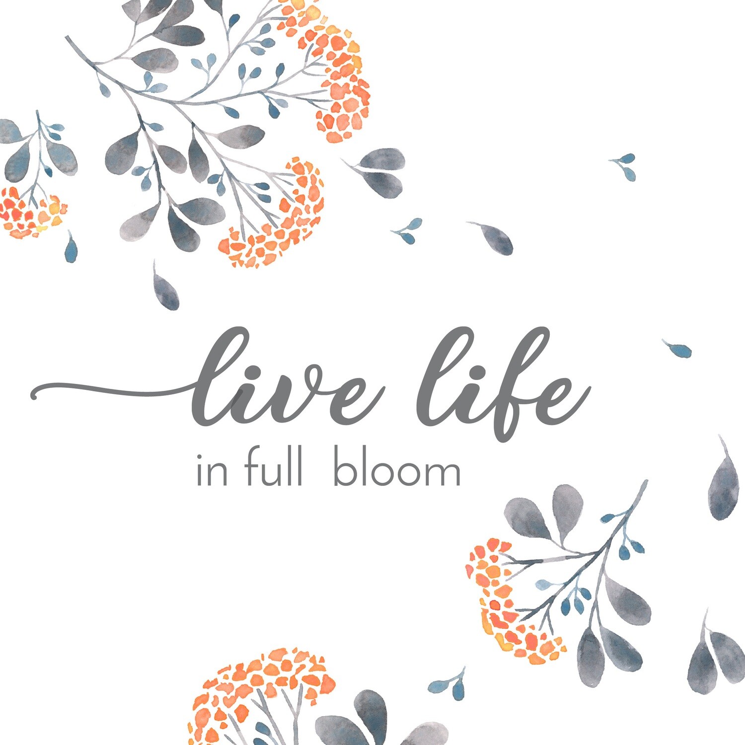 ZV8 Apricot Acres Canvas, Styles: live