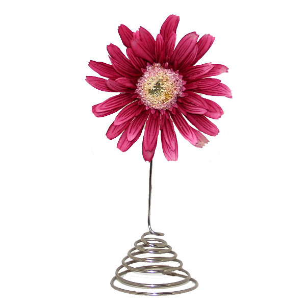 BF020 Crazy Daisy