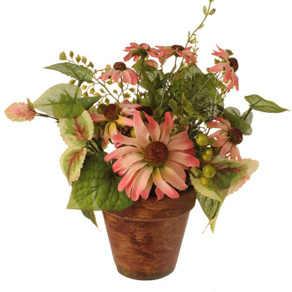 1B005 Potted Sunflwrs