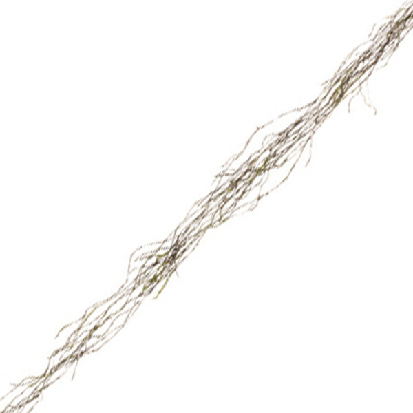 1B016 Sphagnum Garland