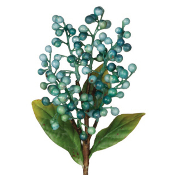 1B018 Teal Berry Pck
