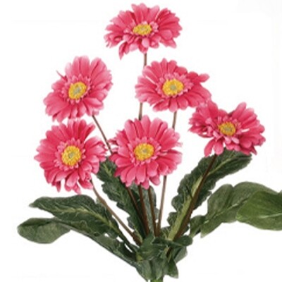 1B020 Pink Gerber Daisy 1B020 Pink Gerber Daisy