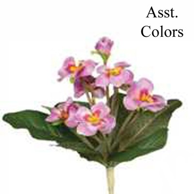 1B041Primrose Bush