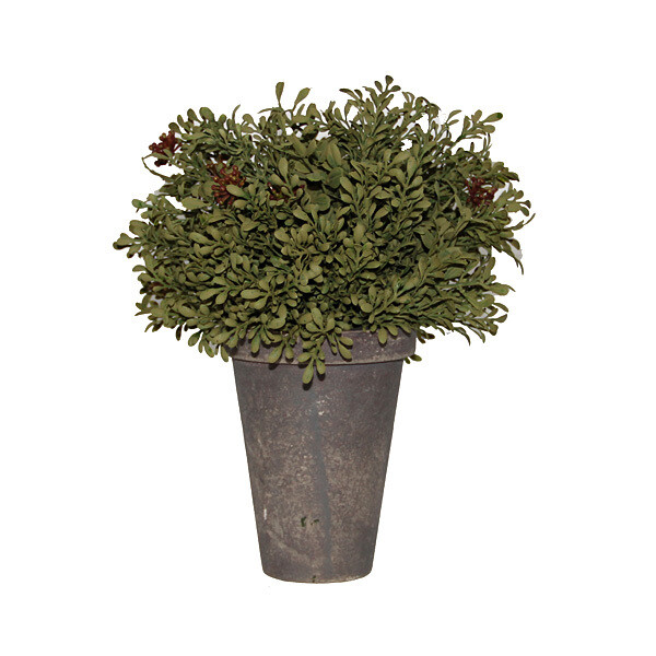 1B040L MnLeafBerry Pot Lg