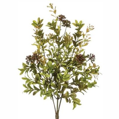 1B049 Boxwood Berry Pick
