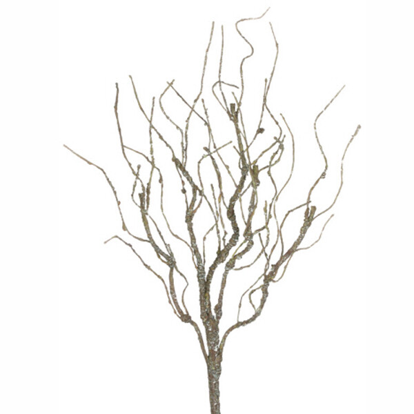 1B051 Twig Pk