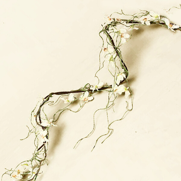 1B056 Dogwd Twig