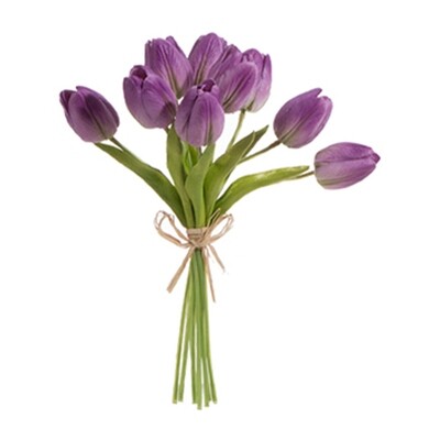 1B070 Tulip Bundle