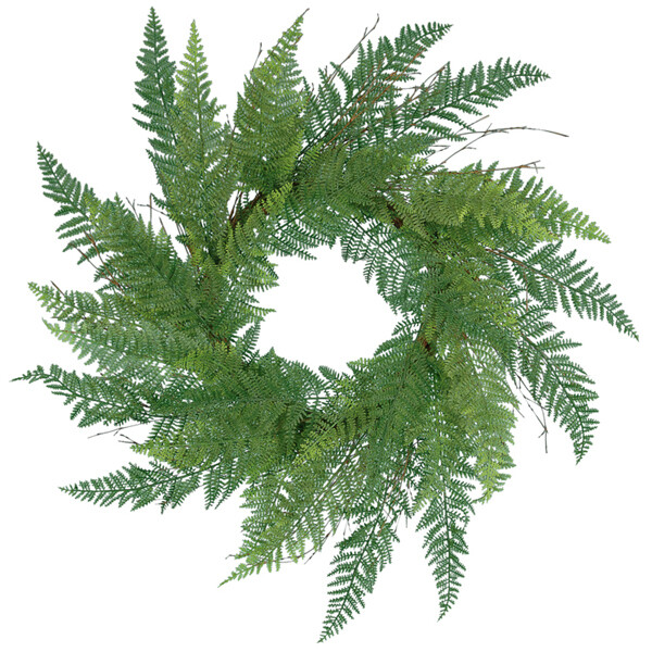 1B065 Fern WR