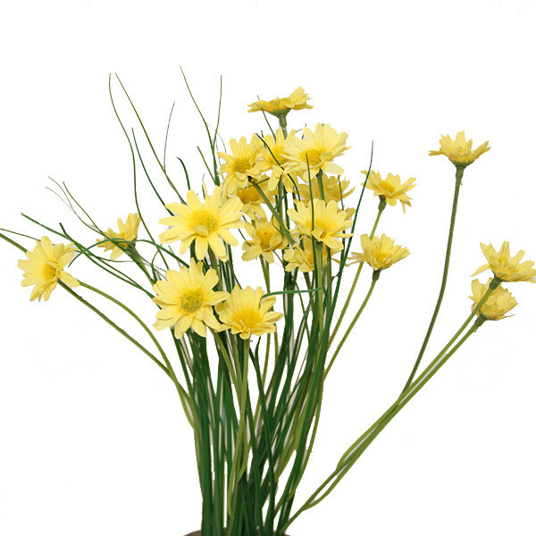 1B102Y Yellow Grass Blossoms