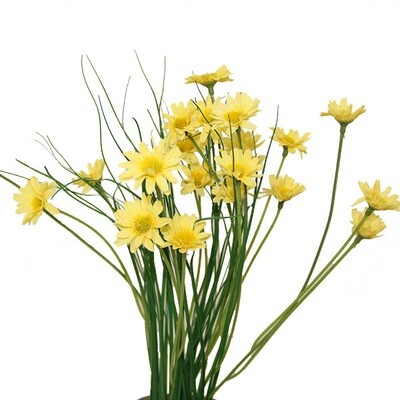 1B102Y Yellow Grass Blossoms