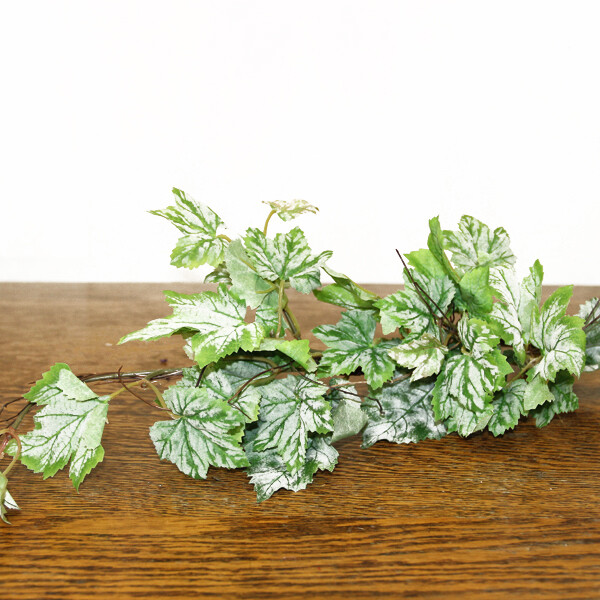 1B127 Grape Vine Spray