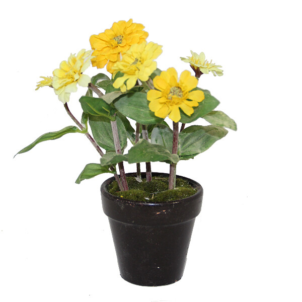 1B134 3" pot
