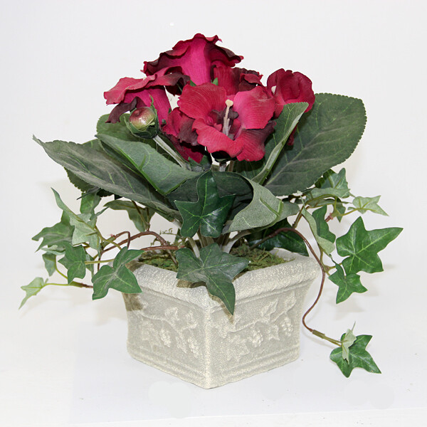 1B140P Potted Hibiscus Small