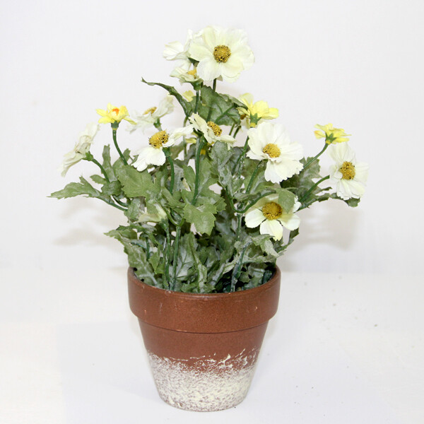 1B141 Potted Marigold