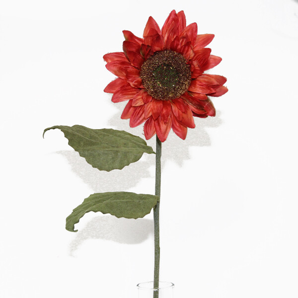1B152R Dark Red Sunflower