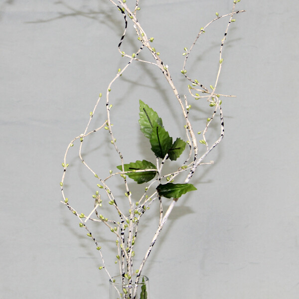 1B156 Birch Twig Pips