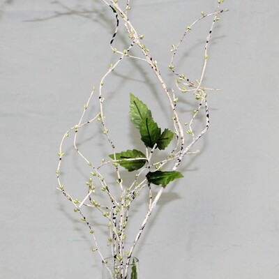 1B156 Birch Twig Pips