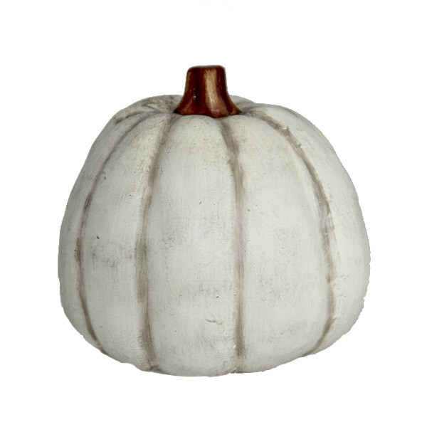 TA211 White Pumpkin