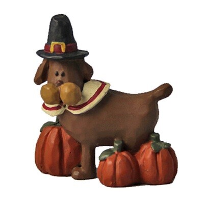 TM377 PlgDg TM377 PlgDg