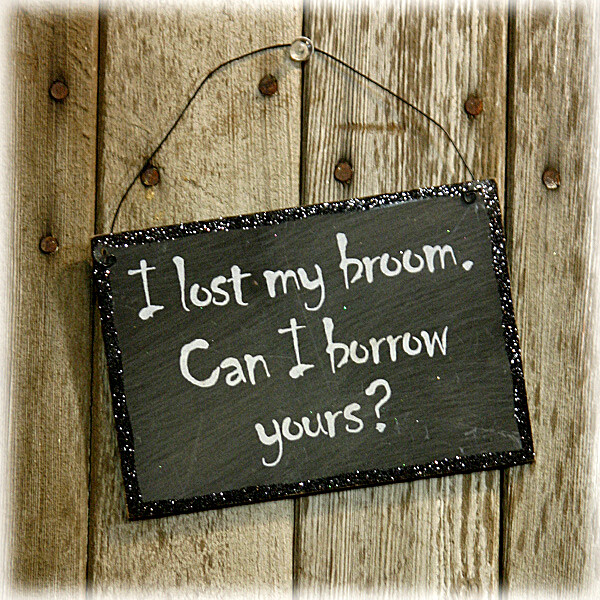 HS529 Lost My Broom