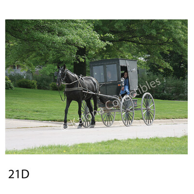 Kalona Collectibles